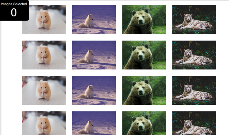 Building an Interactive Image Gallery With JS: A Step-by-Step Guide